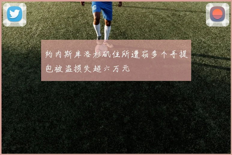 约内斯库洛杉矶住所遭窃多个手提包被盗损失超六万元