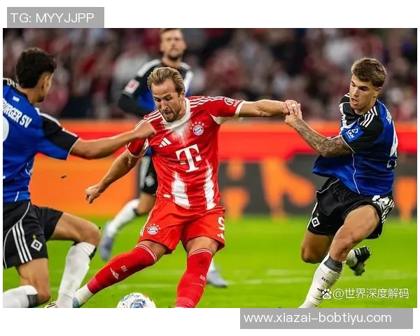 顶级俱乐部纷纷关注汉堡中卫武什科维奇拜仁在列